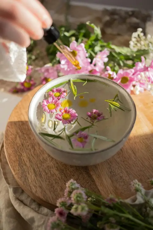 seccion-jardin-medicinal-home-v3